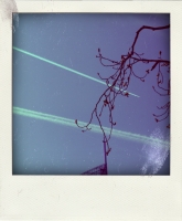 https://xn--instantan-j4a.be/files/gimgs/th-52_DSC06002-pola.jpg