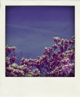 https://xn--instantan-j4a.be/files/gimgs/th-52_DSC06017-pola.jpg