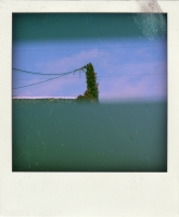 https://xn--instantan-j4a.be/files/gimgs/th-52_DSC9117-pola.jpg
